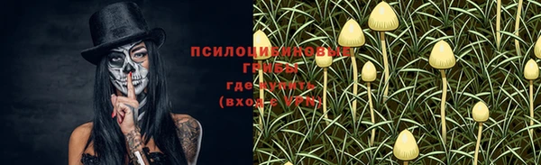 каннабис Баксан